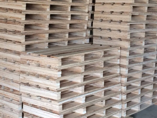 Pallet gỗ 13